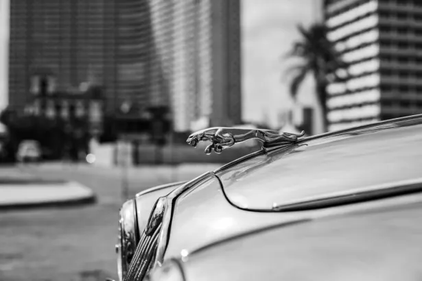 ベット リーガル カジノ Android/iOS アプリ